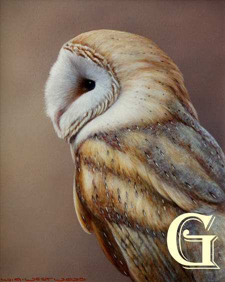 WAYNE WESTWOOD, PEREGRINE FALCON